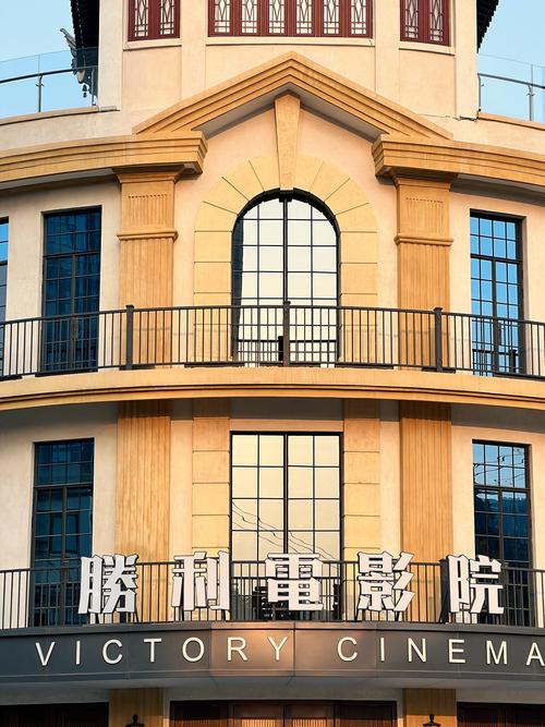 免费下载视频神器推荐｜无水印视频下载App｜一键保存全网短视频工具