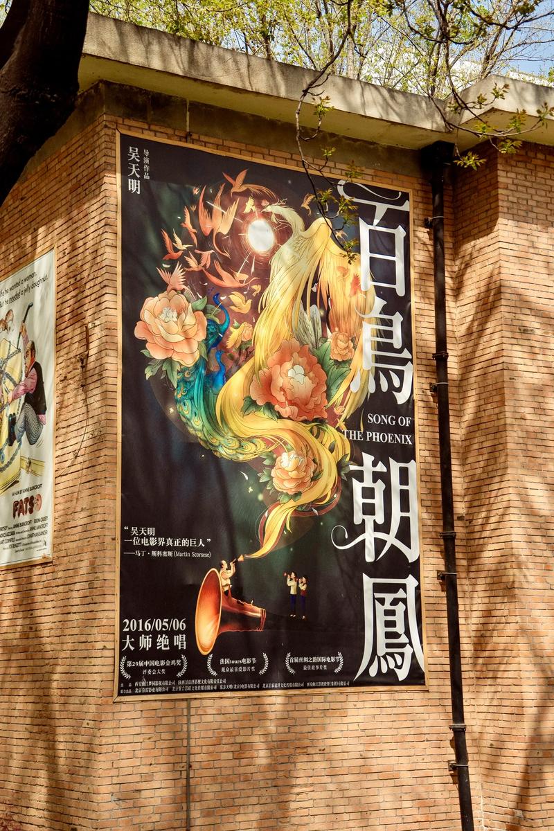 西安电影院热门观影指南（2025最新排片+特色影厅推荐，亲子/情侣/IMAX长尾关键词）