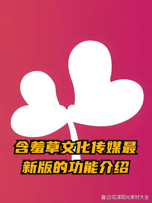 老湿影院48x的相关介绍