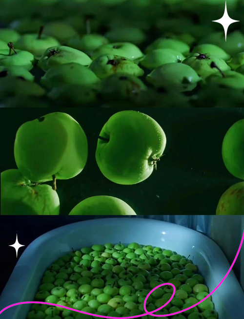 濮阳电影院今日影讯 | 濮阳电影院排片表查询 | 濮阳电影院最新上映电影推荐