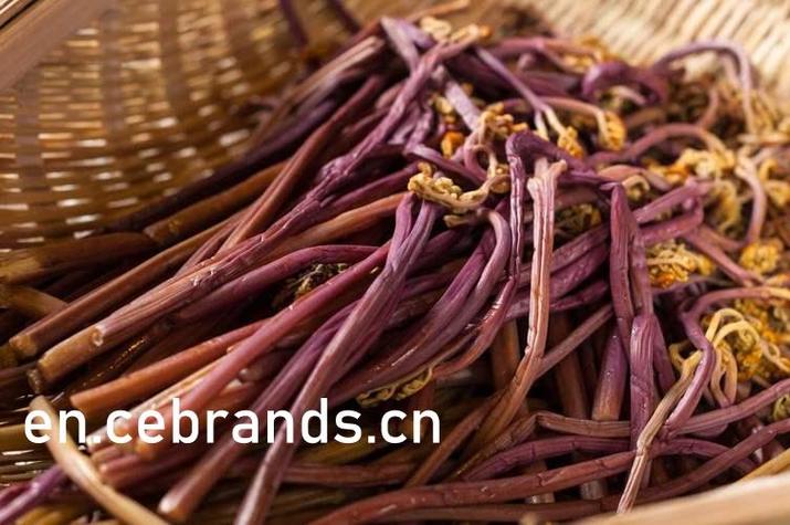 泥巴影院在线观看 - 最新电影电视剧免费追剧神器，高清无广告播放平台