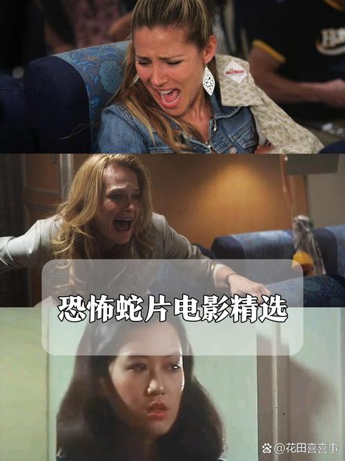 毒蛇影院-2025最新免费VIP影视站，全网热播剧高清无广告在线观看