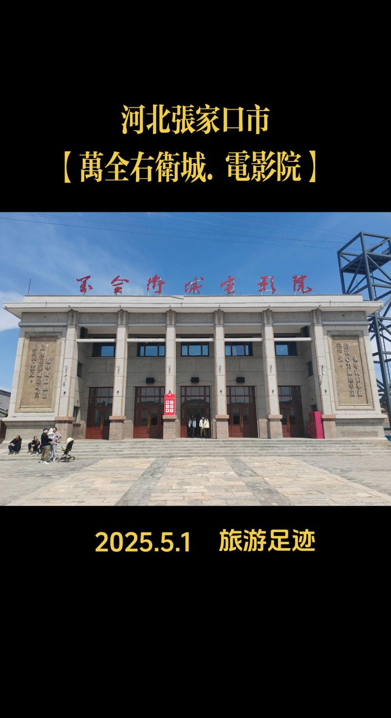 99国产精品99久久久久久胖胖的相关介绍