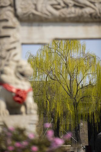 巴巴影院尔在线免费观看最新热门电影电视剧全集高清资源