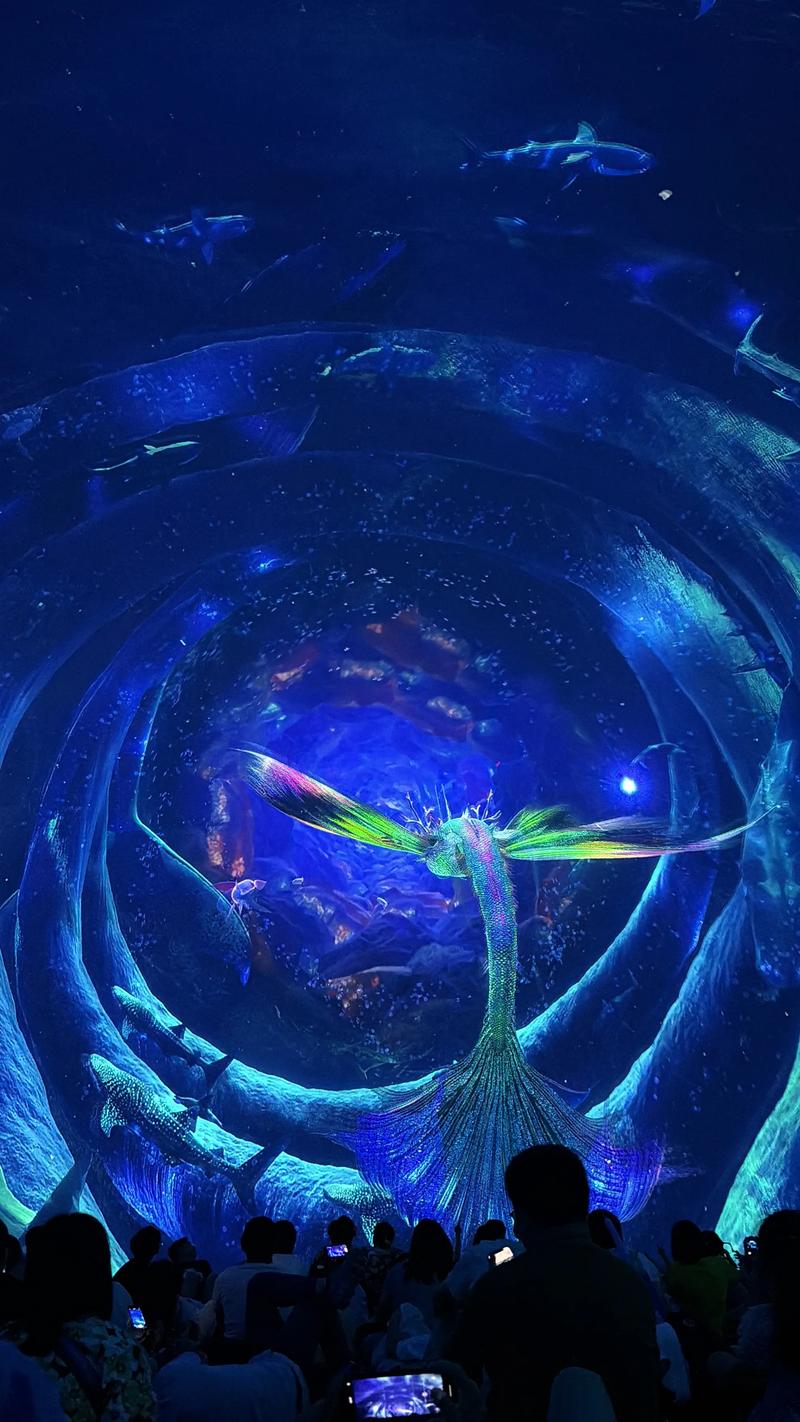 下载APP免费观看视频，海量影视资源随心享，高清流畅追剧神器