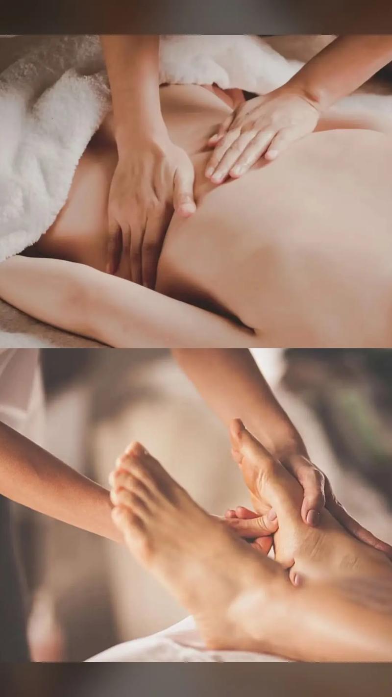 少妇av网的相关介绍