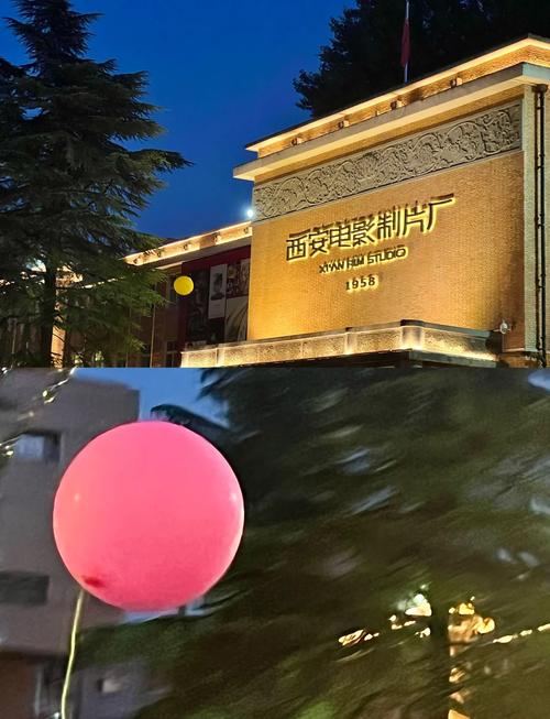 西西影院在线观看免费入口 | 最新电影电视剧高清无广告播放平台 | 西西影院追剧神器