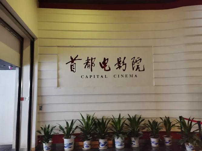月光影院在线观看免费｜最新高清电影电视剧全集免费追剧｜无广告流畅播放体验