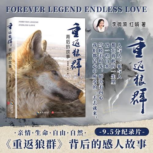 午夜影院普通用户必看：最新高清热门电影免费在线观看、无广告流畅播放体验及每日更新片单推荐
