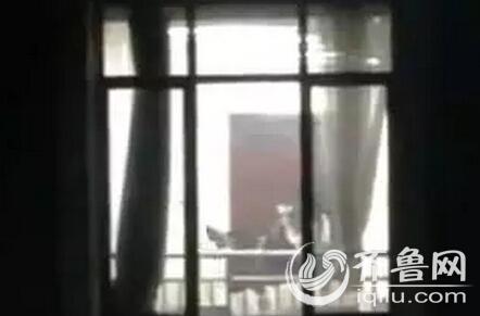 a片影院的相关介绍