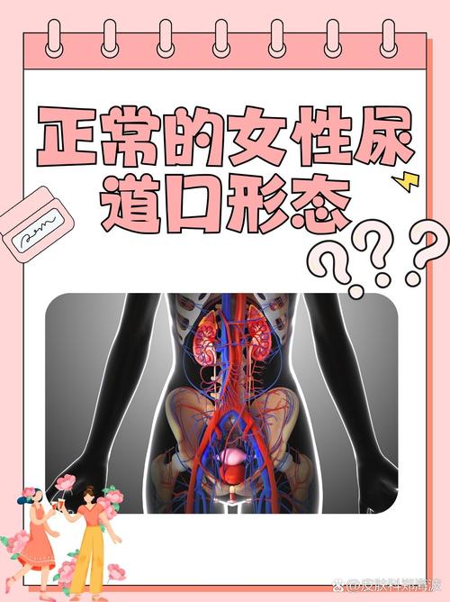 七七影院的相关介绍